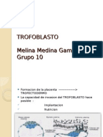 Trofoblasto Obstetricia