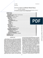 Role of Streptococcus Mutans in Human Dental Decay - Loesche (2008)