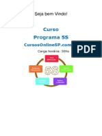 Curso Programa 5s 19078