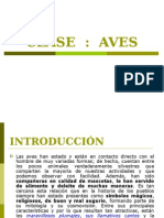 CLASE 1-Zool. Vert II.aves