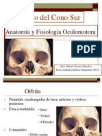 Anatom a y Fisiolog a Oculomotora