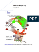 Auto - and Heterotrophs