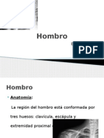 Articulación Del Hombro