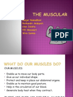 Muscles (Otot)