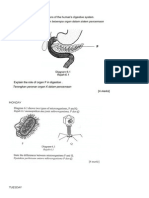 Biology Daily Exercise