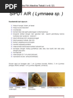 Download SIPUT AIR LYMNAEA SP by marthafitri SN28844380 doc pdf