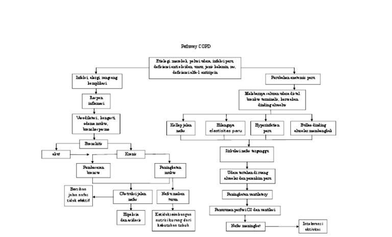 Pathway COPD | PDF