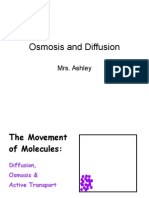 06 Diffusion Osmosis Lecture PowerPoint VCBCCT