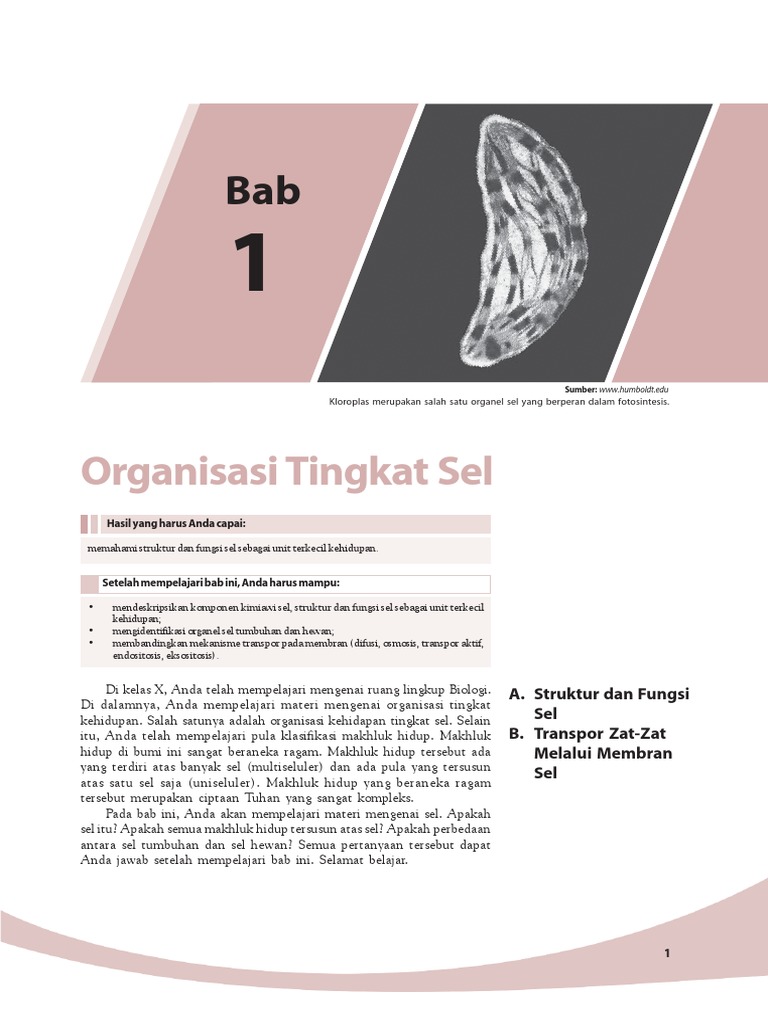 Bab. 1 Organisasi Tingkat Sel.pdf