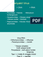 Penyakit Virus: Virus Dna Rna Virus DNA