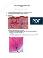 Praktikum Histologi