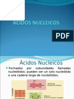 acido nucle10