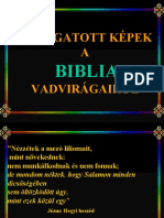 A BIBLIA VADVIRÁGAI (PPTminimizer)