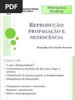 Aula de Fisiologia Vegetal