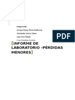 Informe de Laboratorio Perdidas