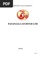 Download Patanjali by rajuraja SN288512700 doc pdf