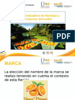 Plantilla UNAD Producto