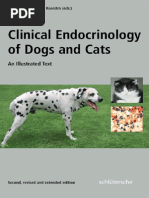 Clinical Endocrinology of Dogs and Cats An Illustrated Text 2nd PDF ...