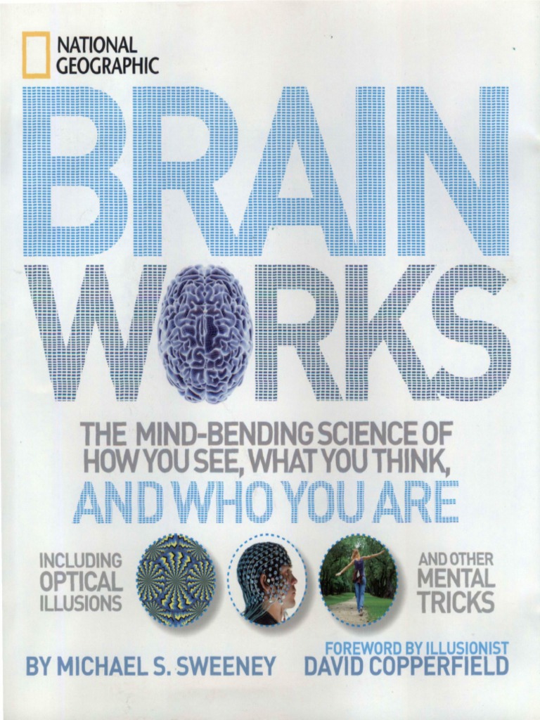 Brainworks - Sweeney PDF | PDF