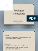 Patologias Testiculares