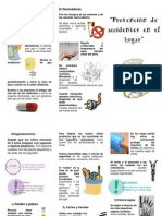 Triptico de Prevencion de Accidentes