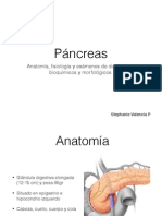 Anatomia Páncreas