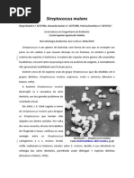 Download 20707001 05 17 Streptococcus Mutans by frenzer SN28857602 doc pdf
