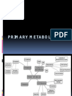 primary metabolism