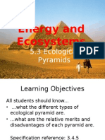 5.3 Ecological Pyramids