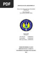 Download Makalah Teknologi DNA Rekombinan TDR by Hepta Jayawardana SN288605265 doc pdf
