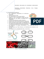 UT 2.1 Microorganismos Implicados en Procesos Infecciosos