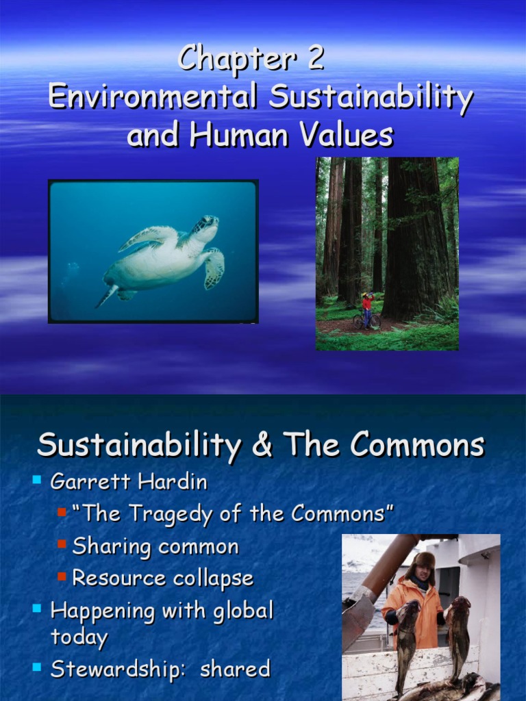 Sustainable Living & Ethics | PDF | Sustainability | Economy And The ...