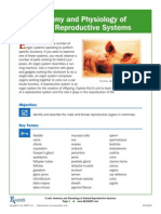 Anatomy of Reproduction