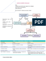 Lesão e Morte Celular