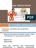 Sistema Endocrino