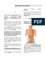 Part 2 General Ida Des y Medula Espinal