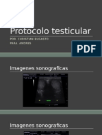 protocolo testicular imagenes