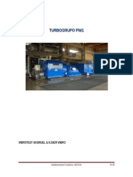 Turbogenerator Vibration Analysis and Maintenance Report