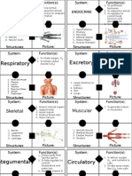 Cardsort Body Systems GL
