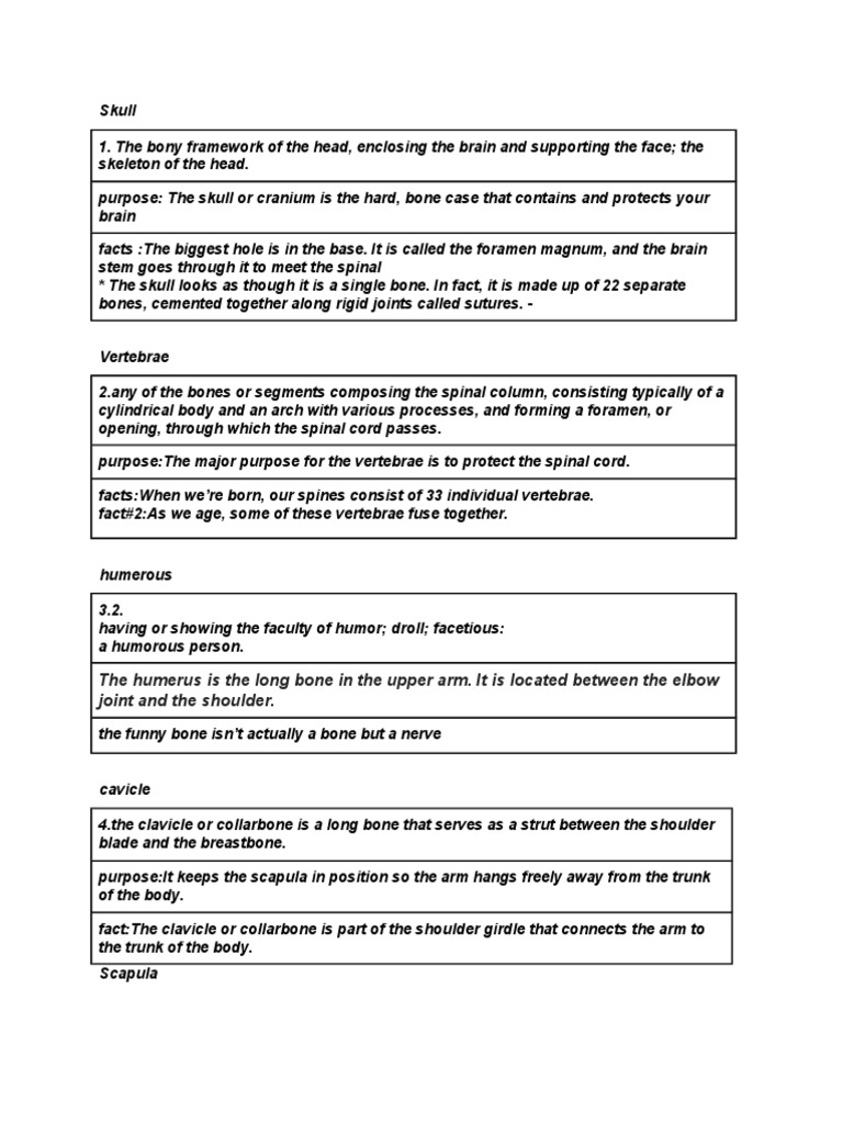 Human Skeletal System Overview | PDF | Knee | Shoulder