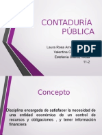 contaduria publica1