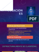 Sistema Articular