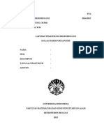 Format Laporan Isolasi Mo - 2015