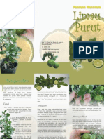 Limau Purut PDF