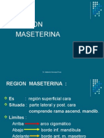 Region Maseterina Atm r. Temporal