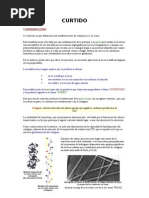 Download CURTIDO by Juan S Gngora SN28870191 doc pdf