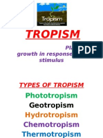 Photo Tropism