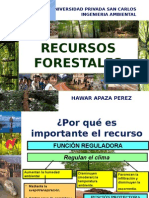 Reforma Forestal