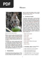 Macaco