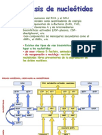 PDF Clase Covarrubias Sintesis Nucleotidos